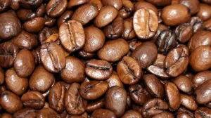 Alabama Snapper DECAF - 1 LB Coffee Bag