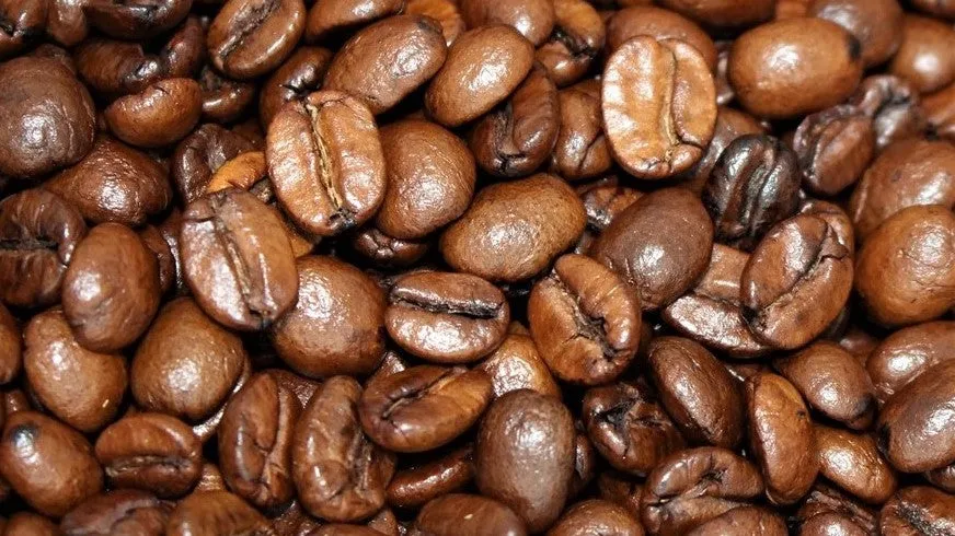 Alabama Snapper DECAF - 1 LB Coffee Bag