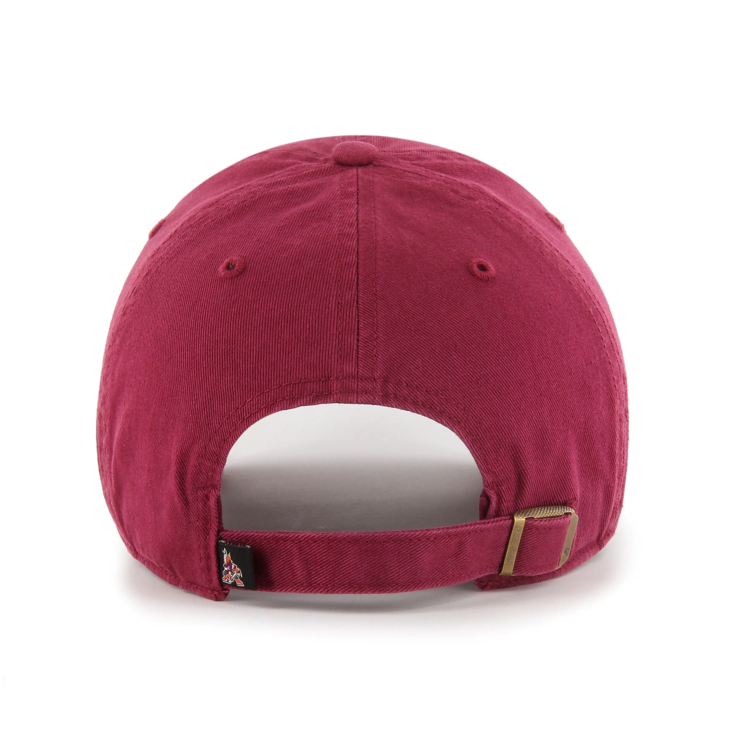 ARIZONA COYOTES '47 CLEAN UP