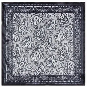 Black Paisley Tuch