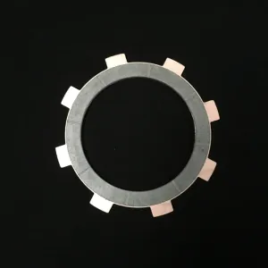 Bully Fiber Disk
