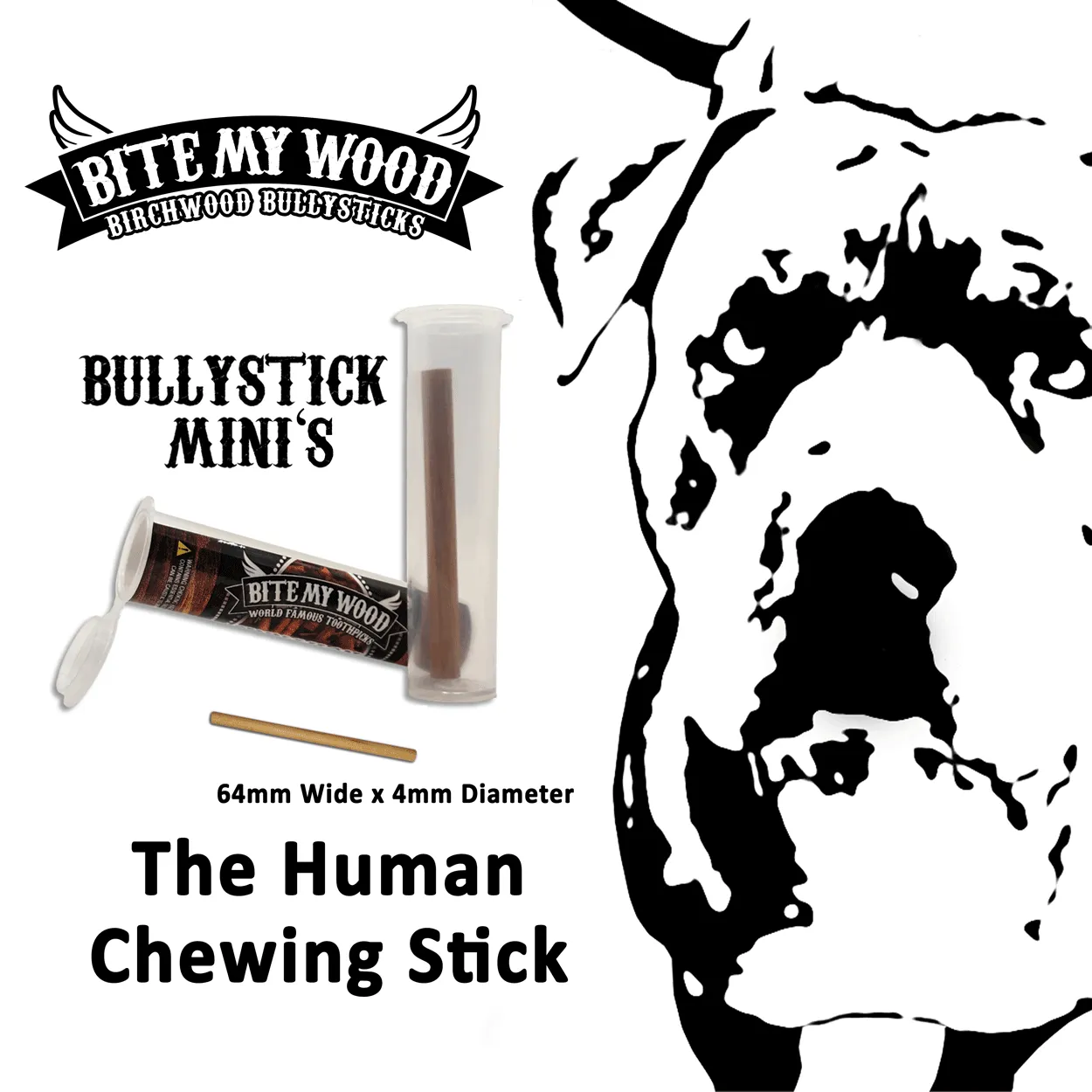 Bully Stick 2.5" Mini All Natural Birchwood Flavored Human Chewing Sticks