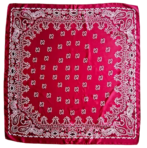 Burgund Paisley Bandana