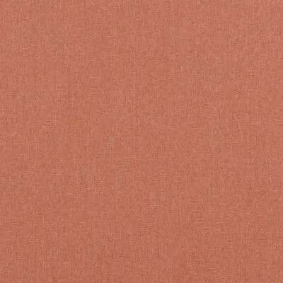Carnival Plain-Spice