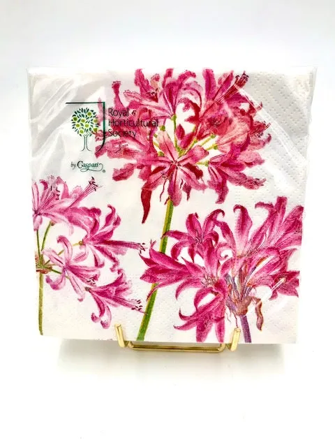 Caspari Surprise Lily Cocktail Napkins