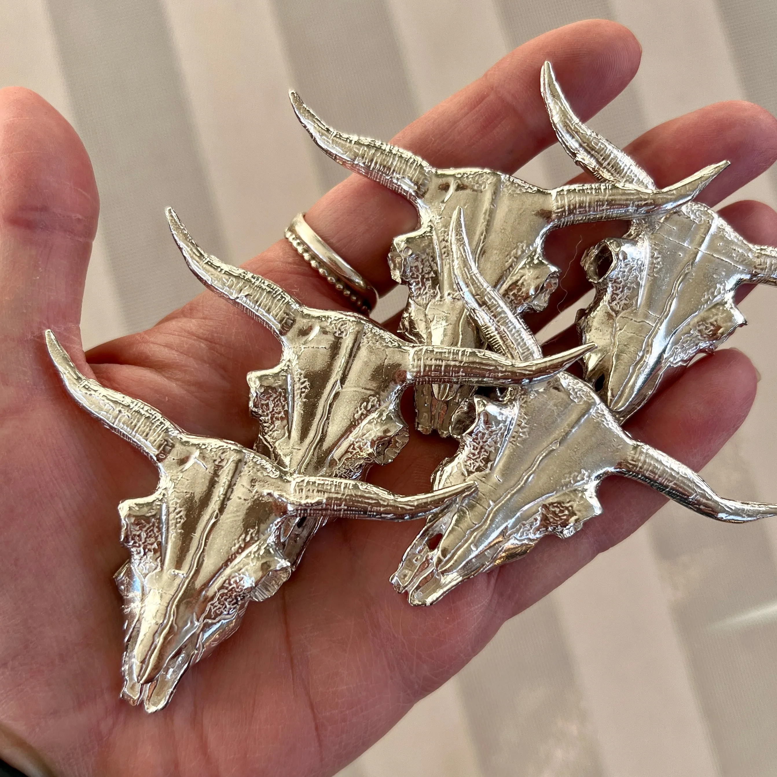 Casting - Longhorn Steer Skull