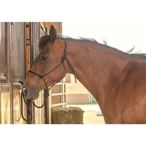 CLASSIC EQUINE ROPE WORK HALTER