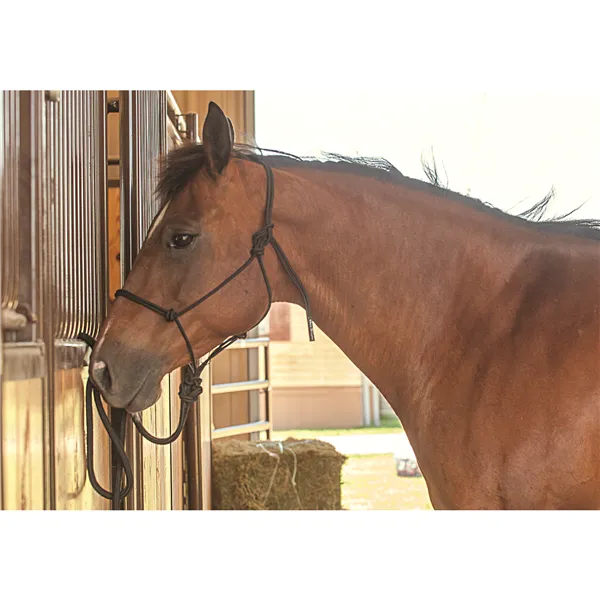CLASSIC EQUINE ROPE WORK HALTER