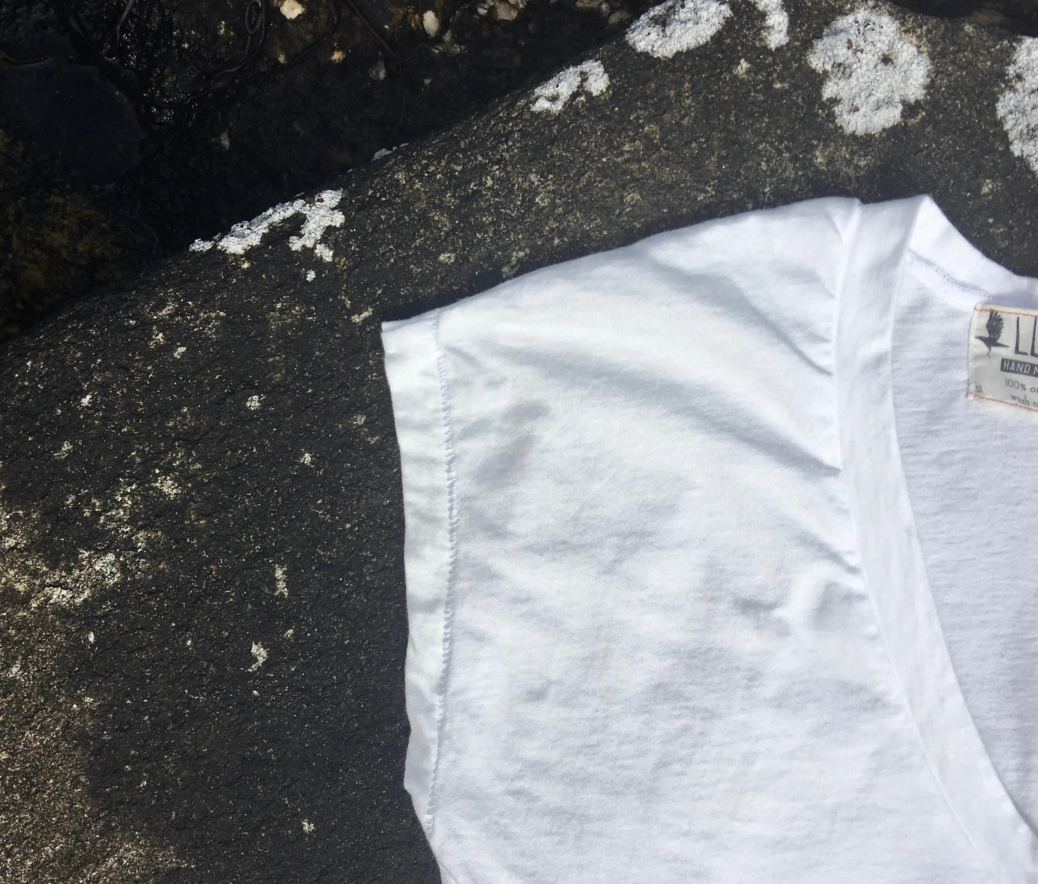 classic white organic cotton v neck t