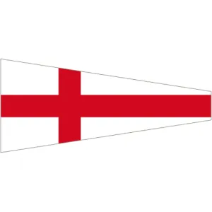 Code Flag Number 8