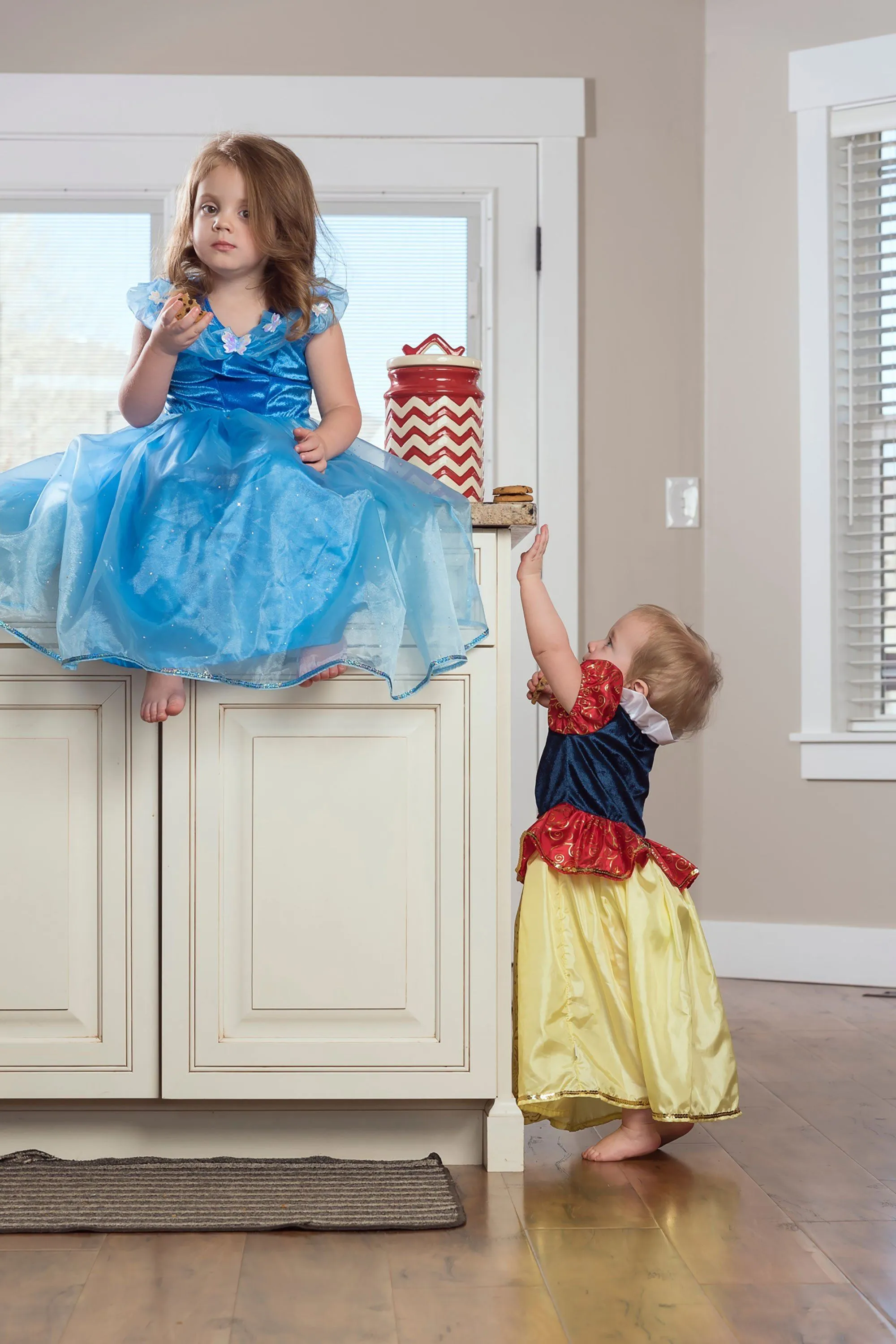 Deluxe Cinderella Butterfly