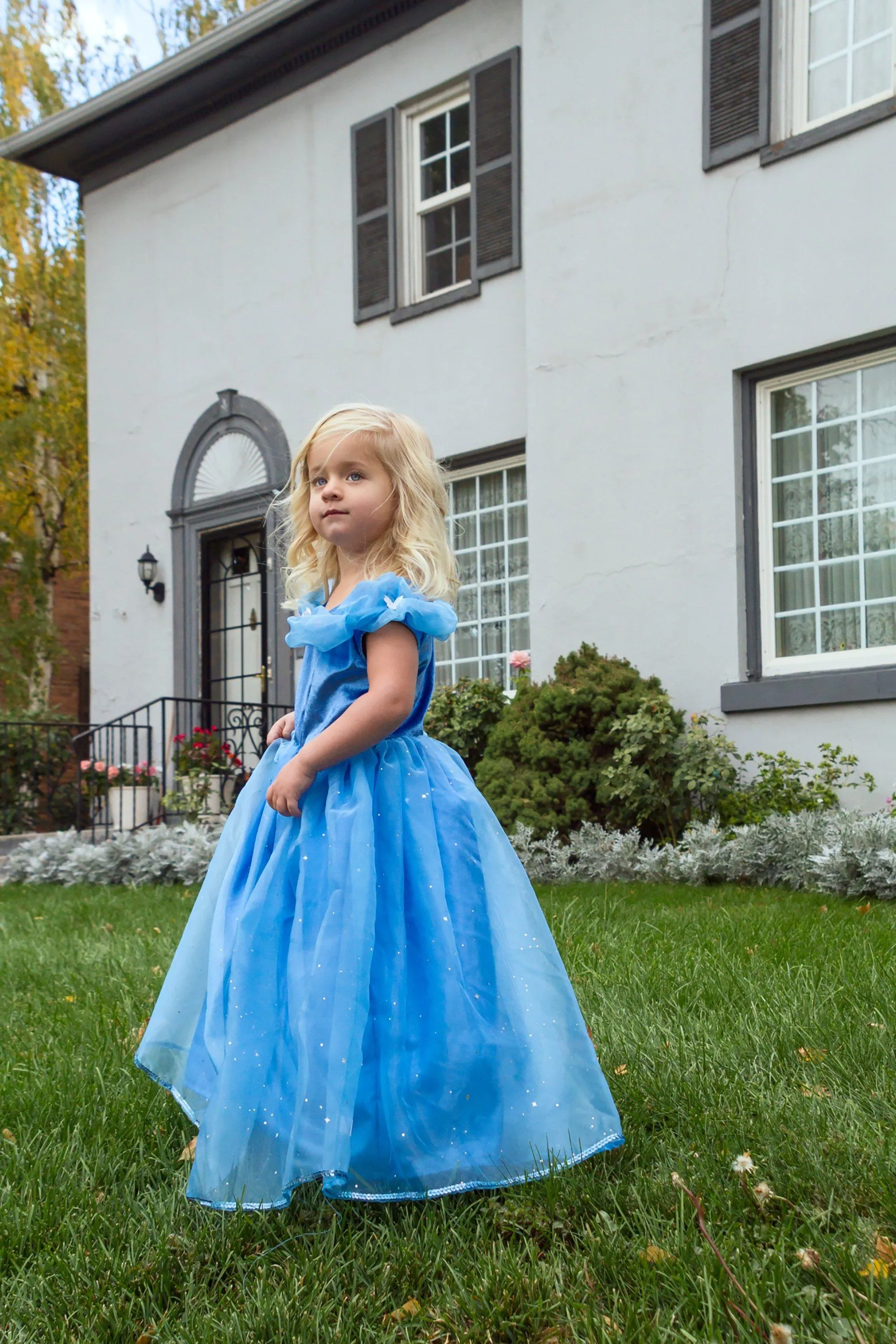 Deluxe Cinderella Butterfly