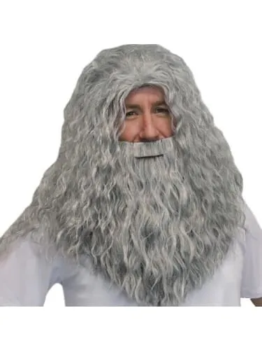 Deluxe Wizard Wig & Beard