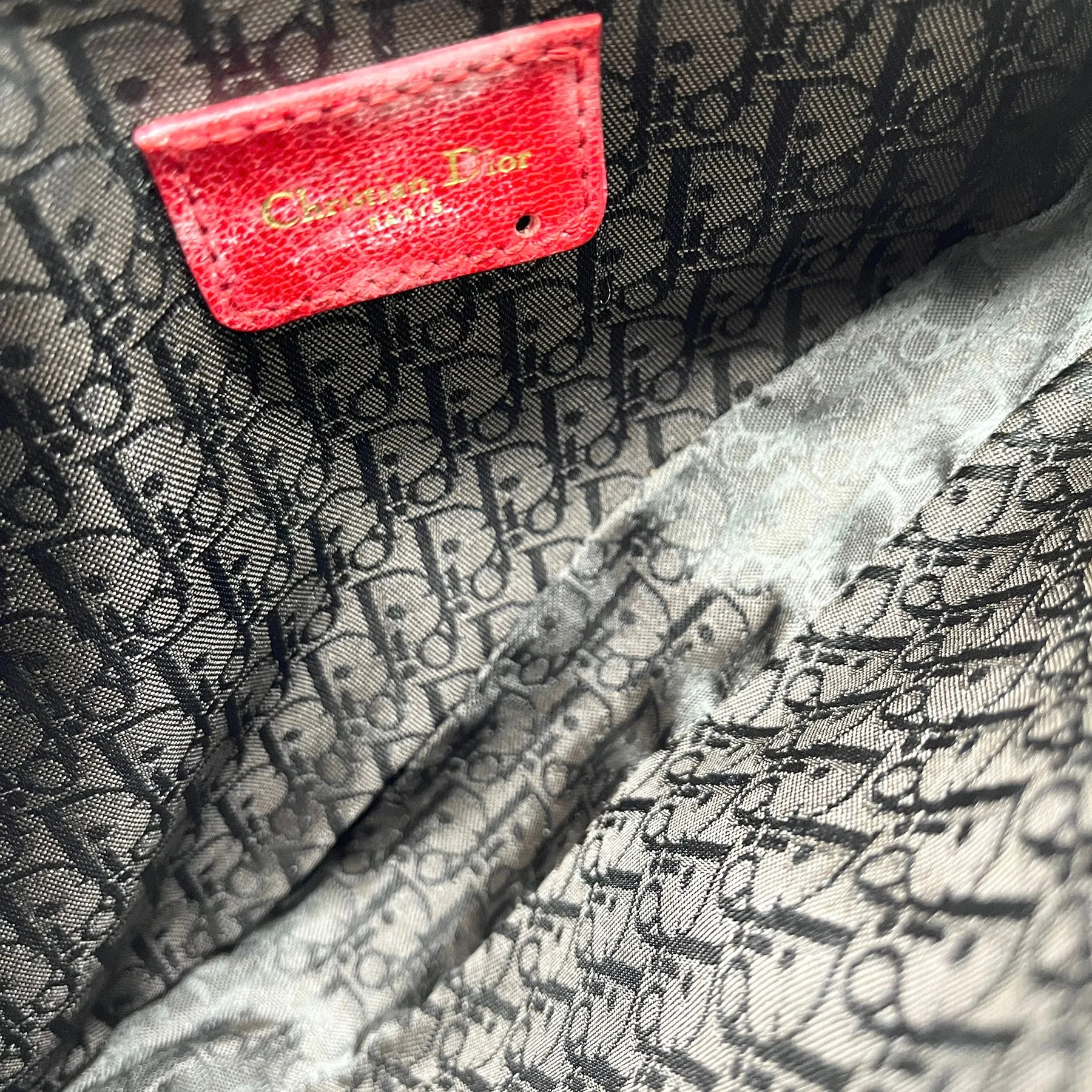 Dior Cheetah Print Mini Saddle Bag