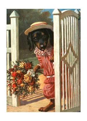 Dog With Bouquet