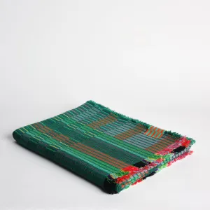 Estuary Wool Woven Blanket in Grass