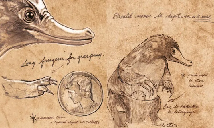 Fantastic Beasts & Where to Find Them: Newt Scamander's Case