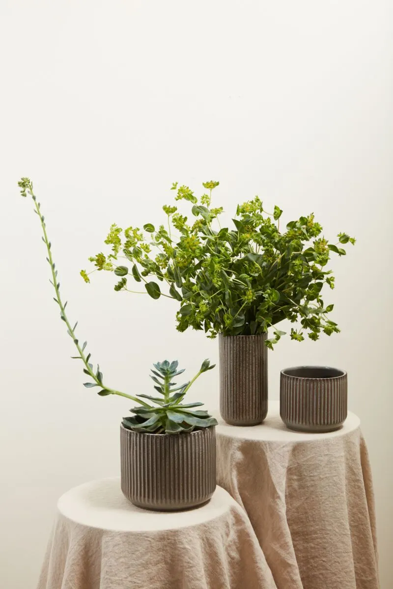 Habitat Pot