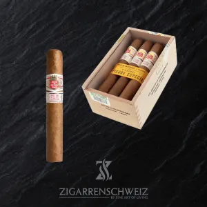 Hoyo de Monterrey Epicure Especiales Gordito