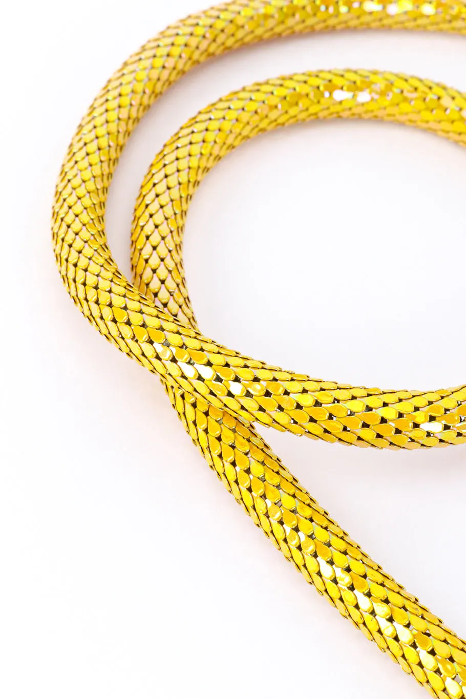 Iridescent Mesh Snake Necklace Belt