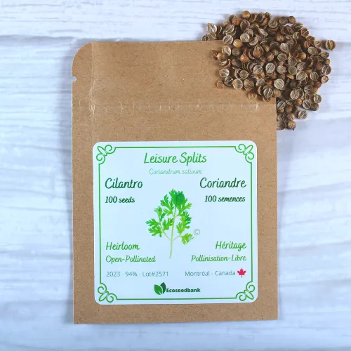 Leisure Splits Cilantro Seeds