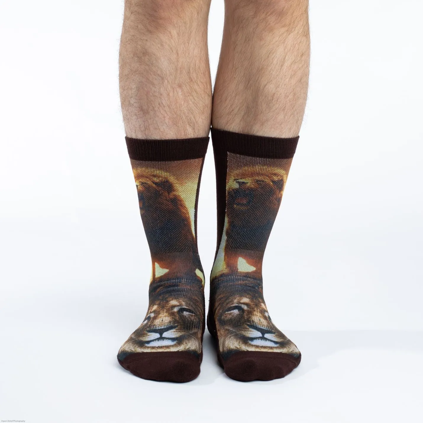 Lion Socks