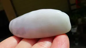 Natural Jade Rough Jadeite Raw (101g,8.8X2.8X2.3cm)