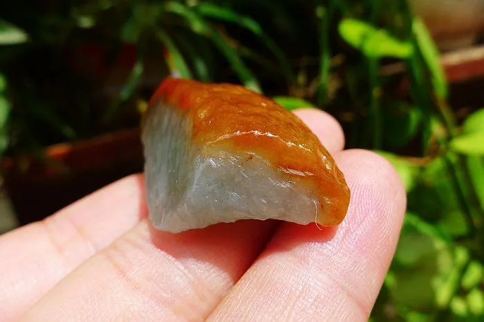 Natural Jade Rough Jadeite Raw (17g,3.2X1.9X1.3cm)