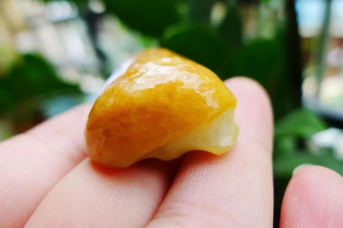 Natural Jade Rough Jadeite Raw (29g,5X2.7X1.4cm)