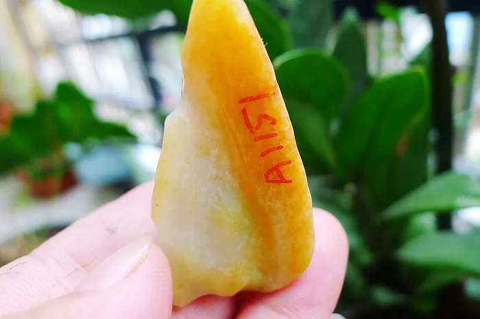 Natural Jade Rough Jadeite Raw (29g,5X2.7X1.4cm)