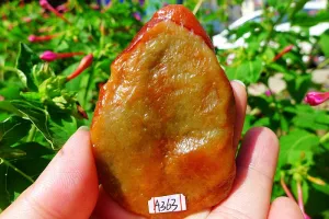 Natural Jade Rough Jadeite Raw (57g,7.2X4.6X0.95cm)