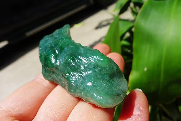 Natural Jade Rough Jadeite Raw (63g,7.4X2.5X1.7cm)