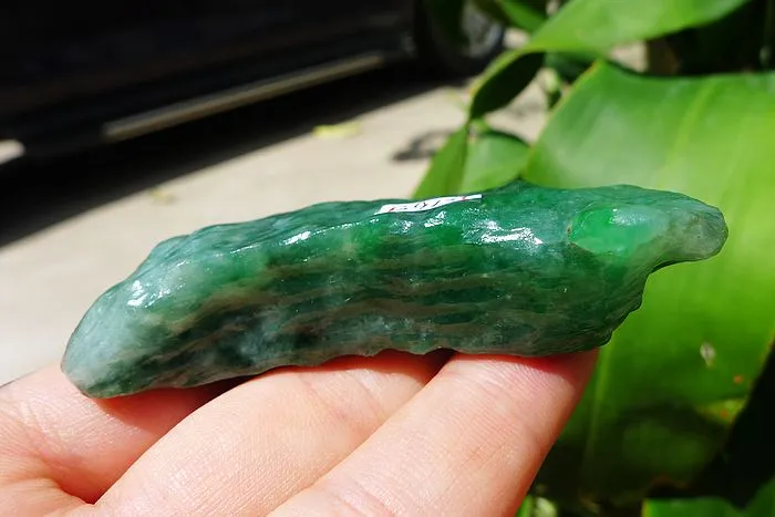 Natural Jade Rough Jadeite Raw (63g,7.4X2.5X1.7cm)