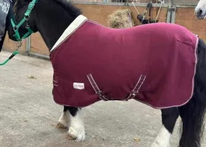 New deluxe collar fleeces in navy and burgundy