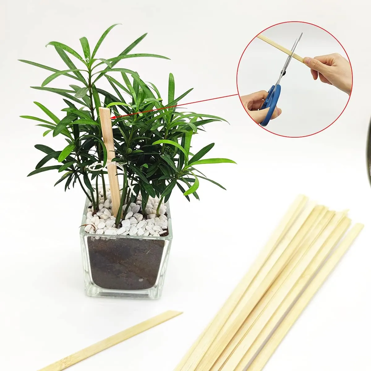 NEW Worown 30 pcs 11.8 Inch Strong Natural Bamboo Sticks, Wooden Craft Sticks, Extra Long Sticks, Wood Strips for Craft Projects, 3/8 Inch Width