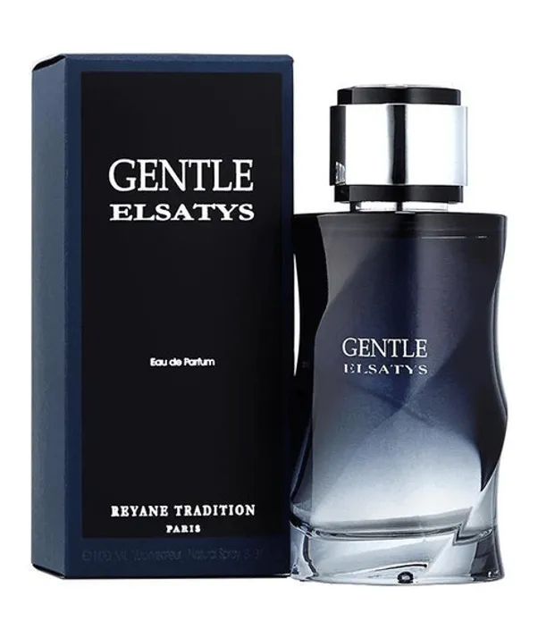 Reyane Tradition Gentle Elsatys Men EDP 100ml Spray