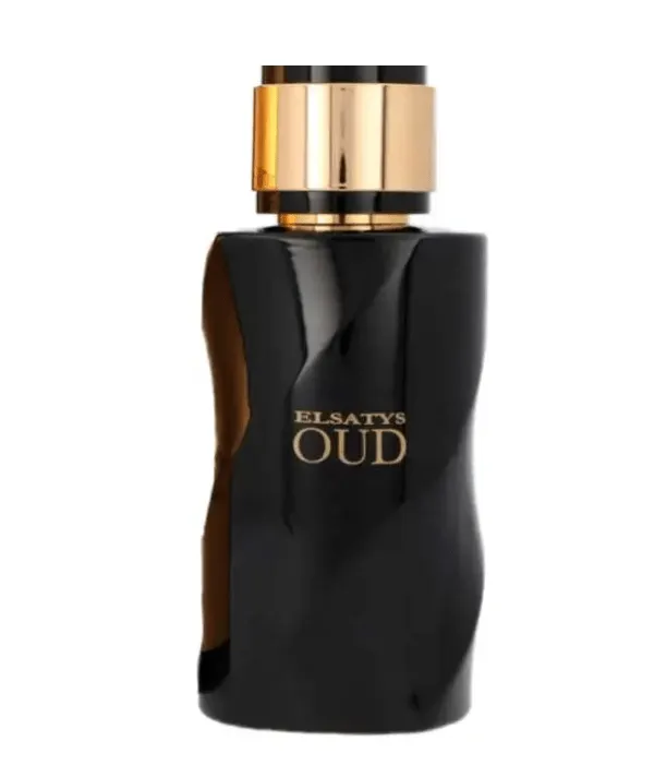 Reyane Tradition Gentle Elsatys Oud Men EDP 100ml Spray