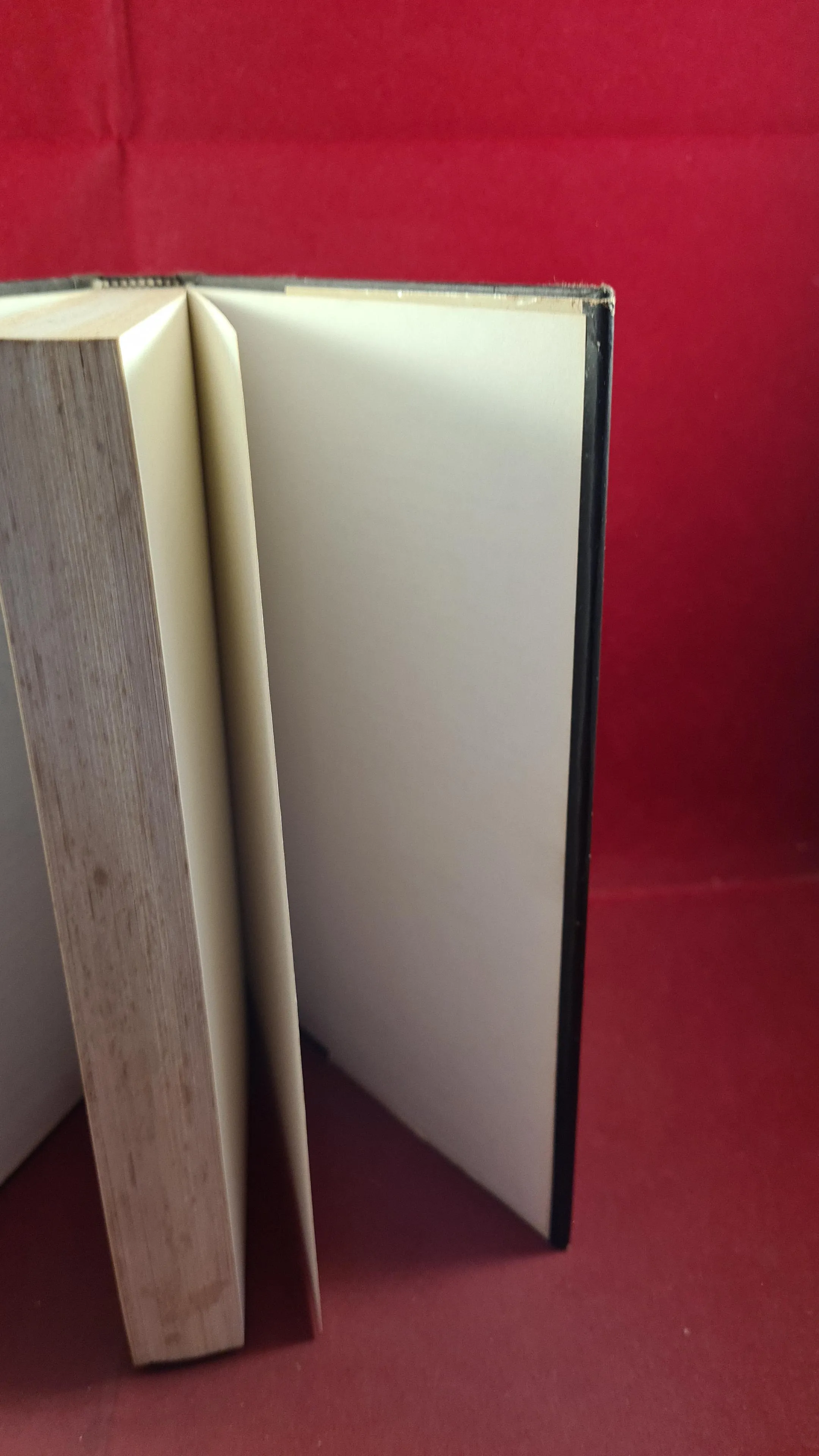 Richard C Meredith - The Awakening, St. Martin's Press, 1979, First Edition