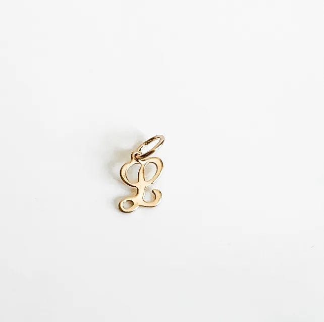Script initial charm