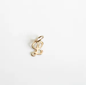 Script initial charm