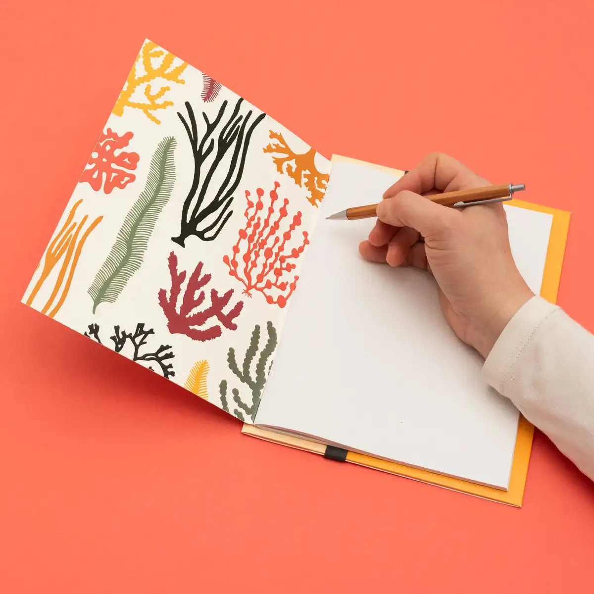 Seaweed Notebook   Folder