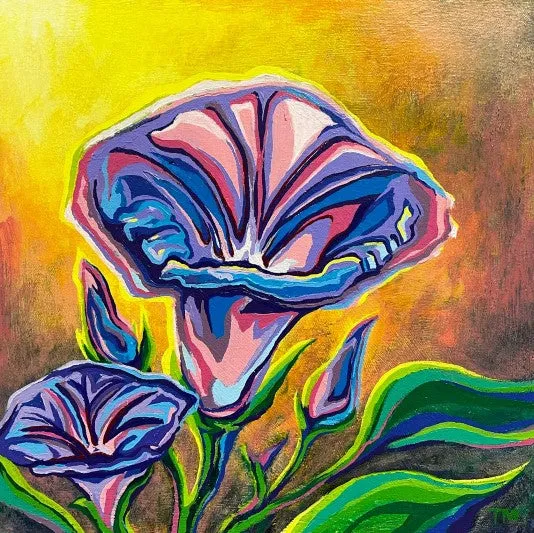 September (Morning Glory)