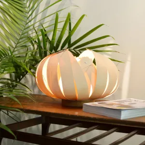 Sol / petite / érable