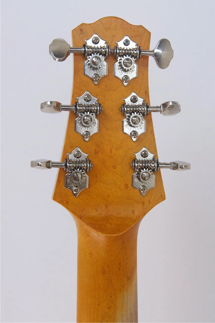 SOLD 2014 Asher T Deluxe™ Guitar, Relic Black Nitro
