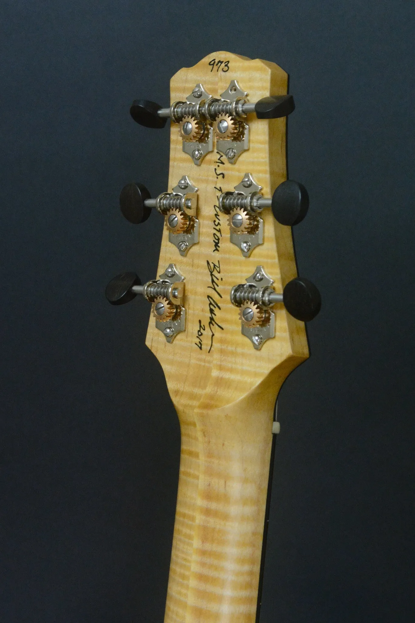 SOLD 2017 T Deluxe Master Series, Bound Flame Satinwood, Lollar Pickups with Custom Covers #973