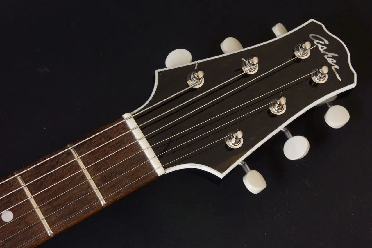 SOLD 2019 T Deluxe, Tempered Woods with Black Nitro with Bound Top, sn#1119