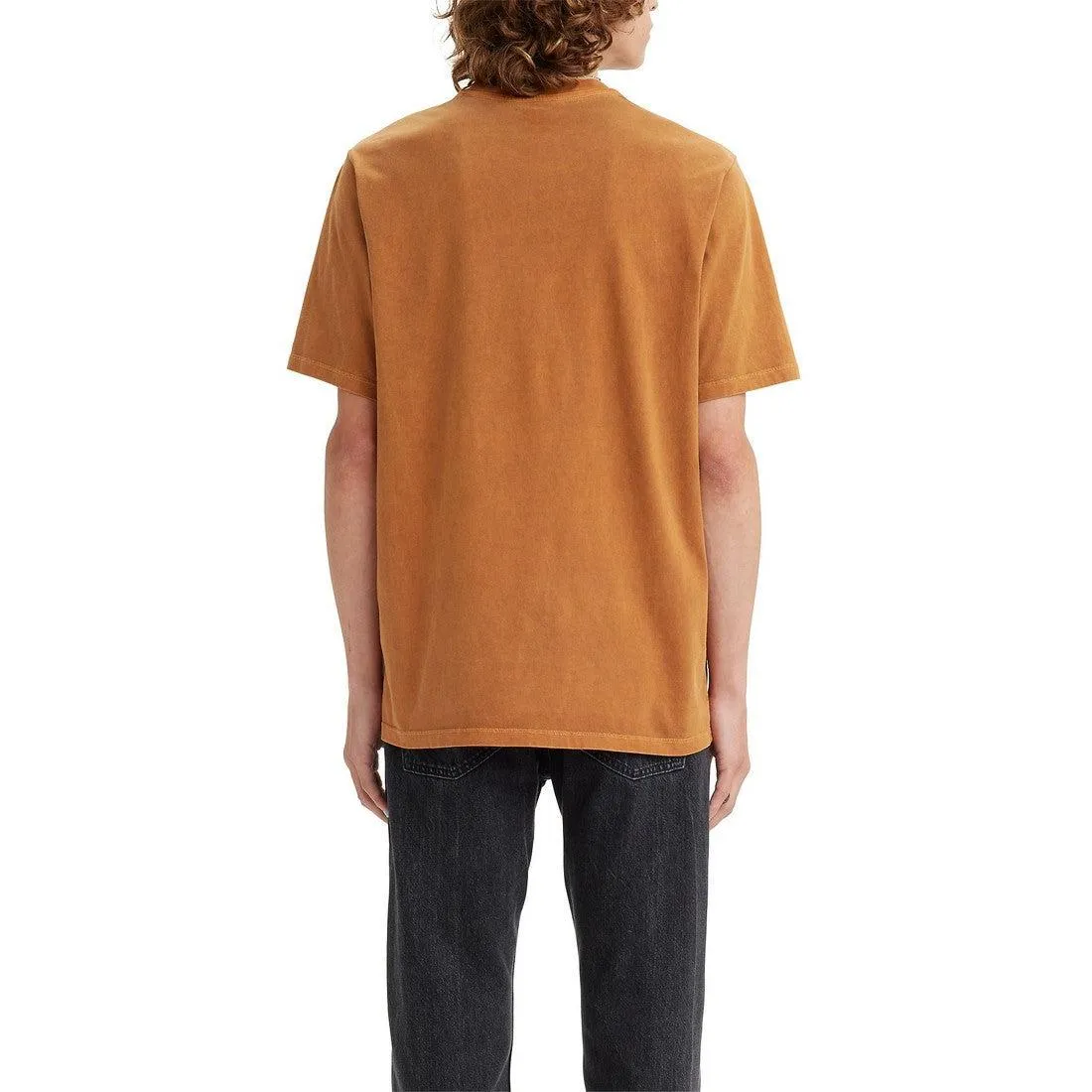 SS RELAXED POCKET TEE GUARANA SPICE