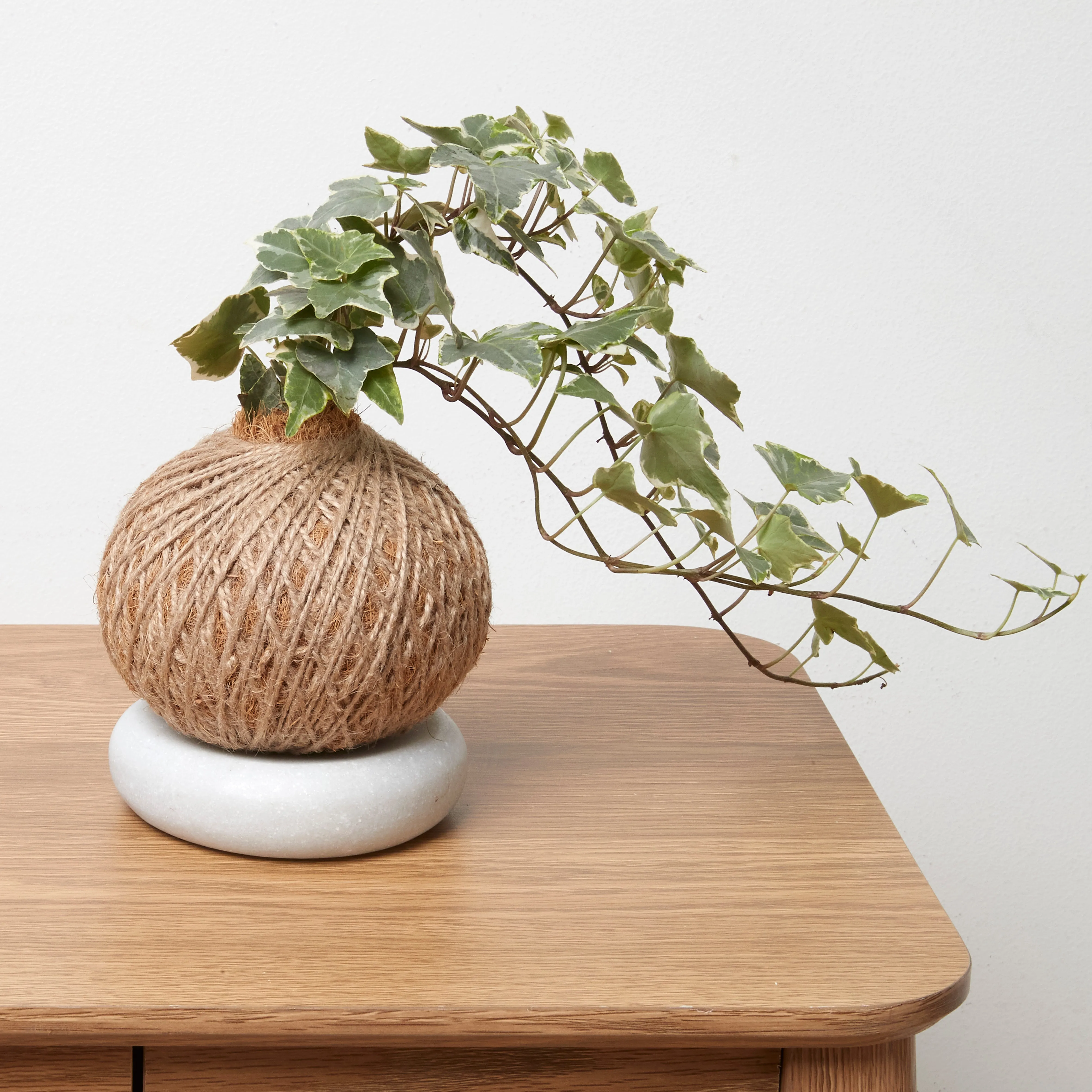 Urban Oasis Green Marble Coaster