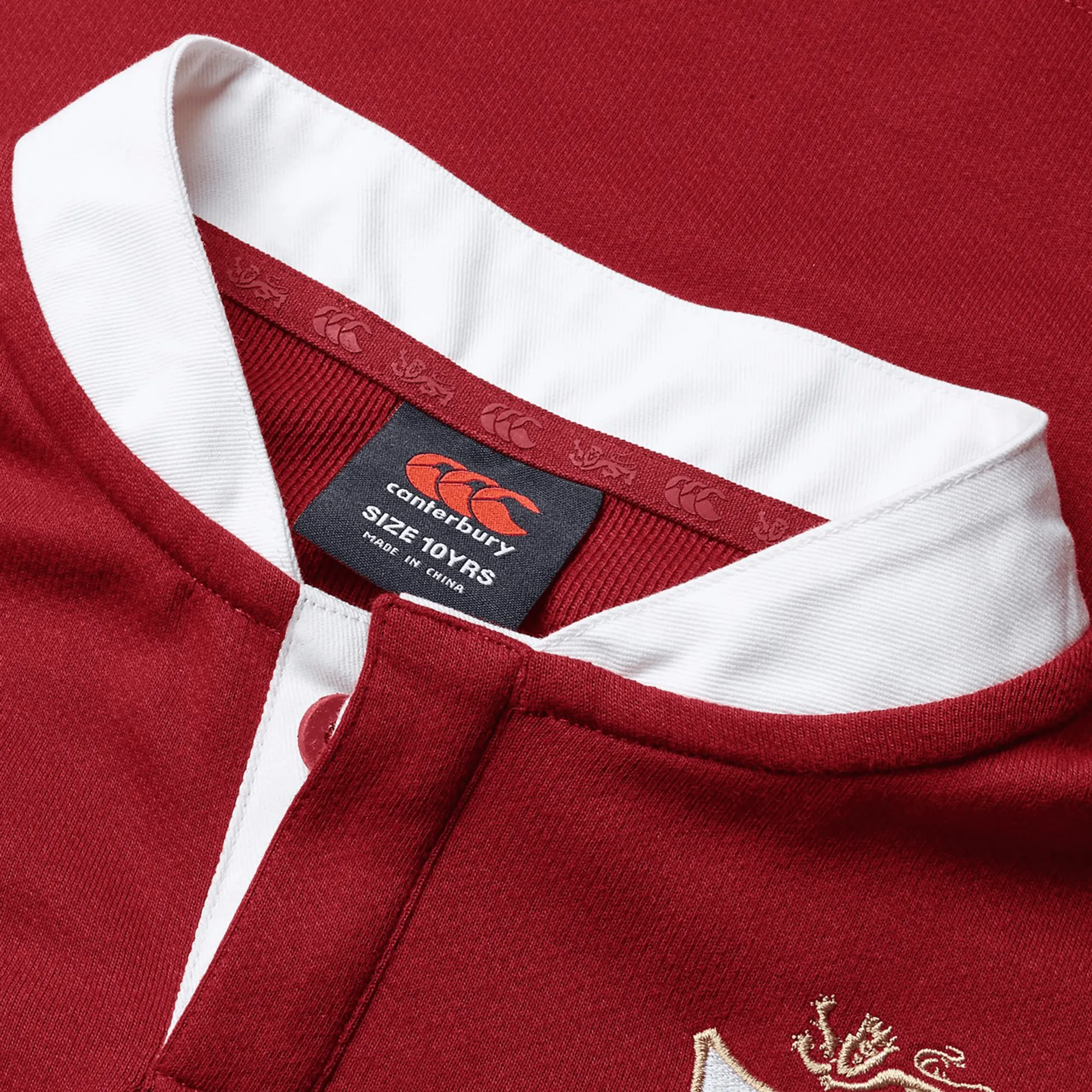 Youth British & Irish Lions 2025 Long Sleeve Classic Jersey by Canterbury